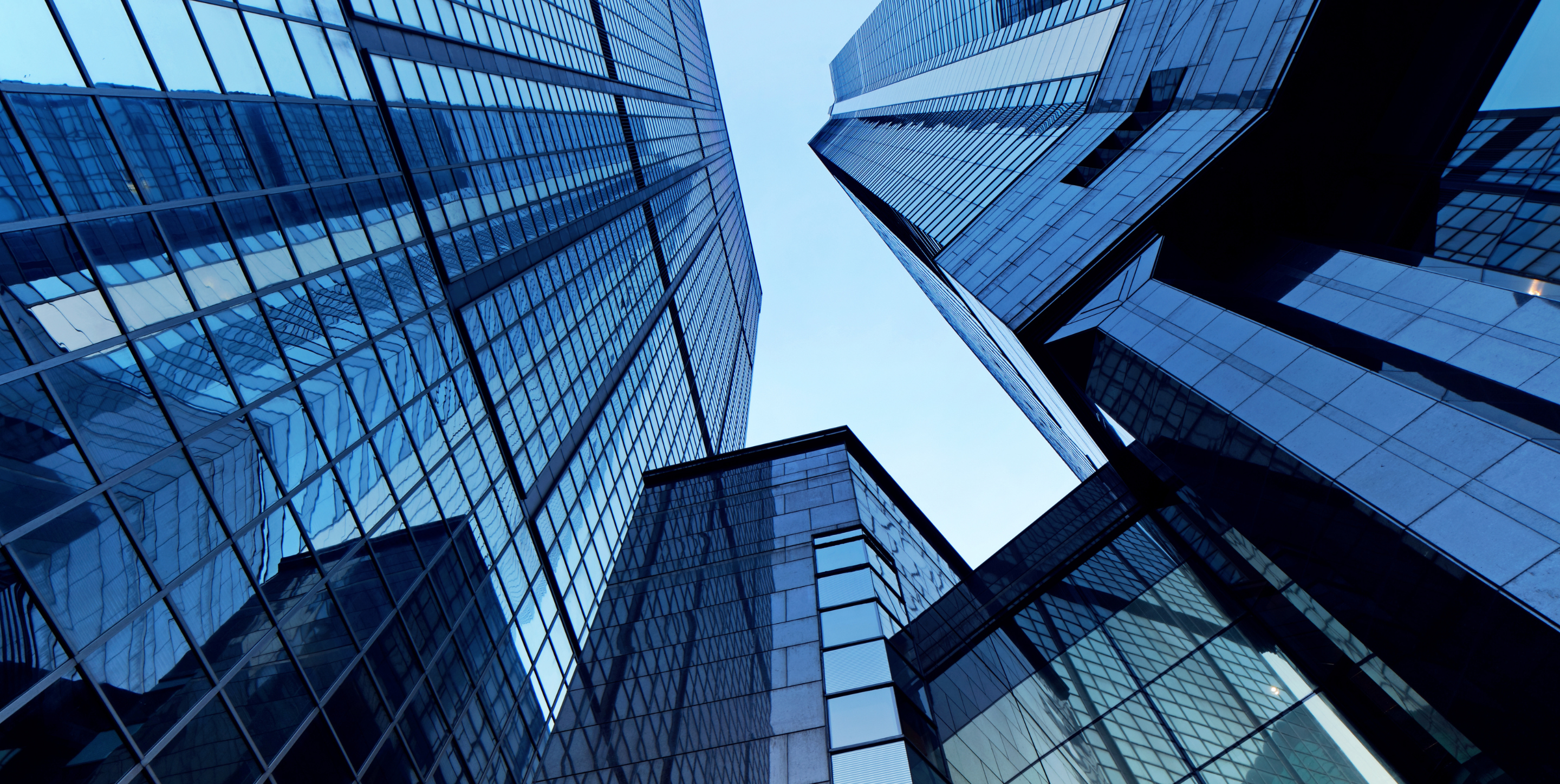 Executive Coaching Services
