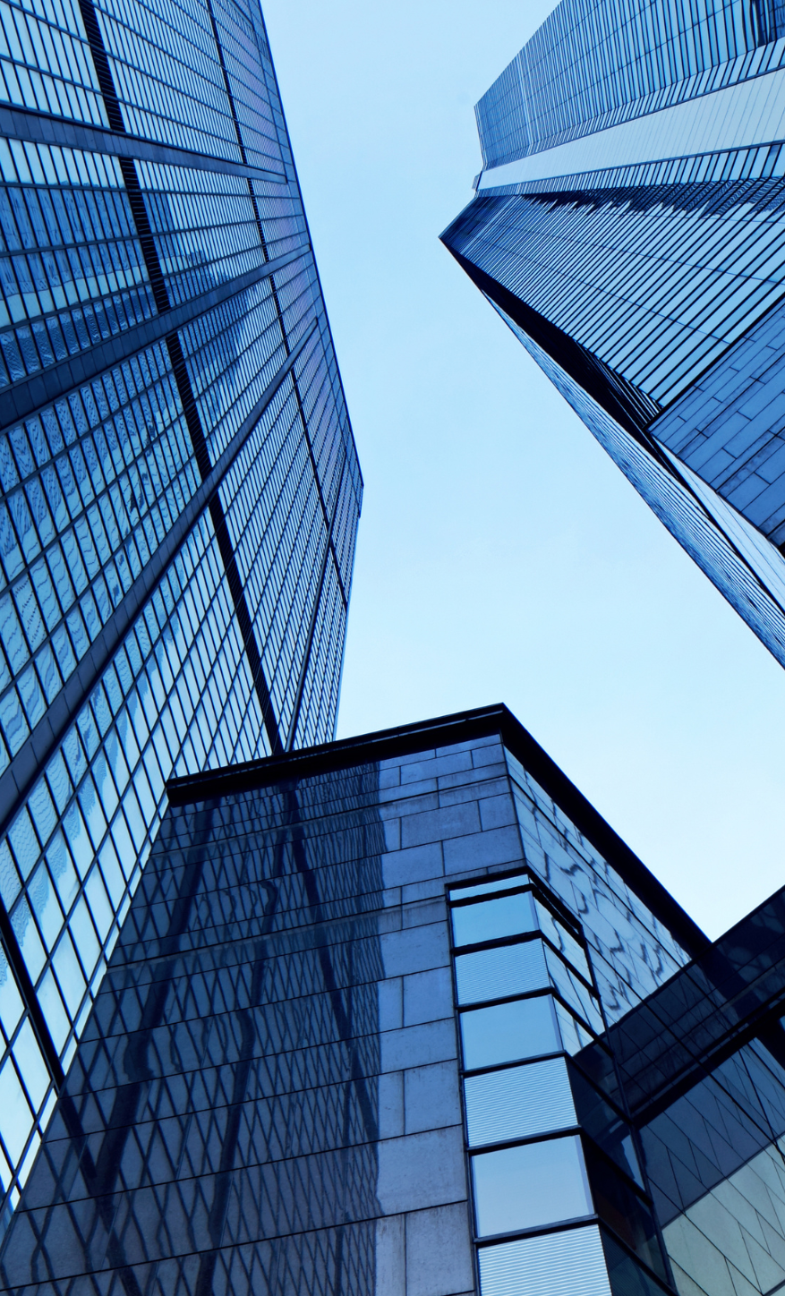 Executive Coaching Services