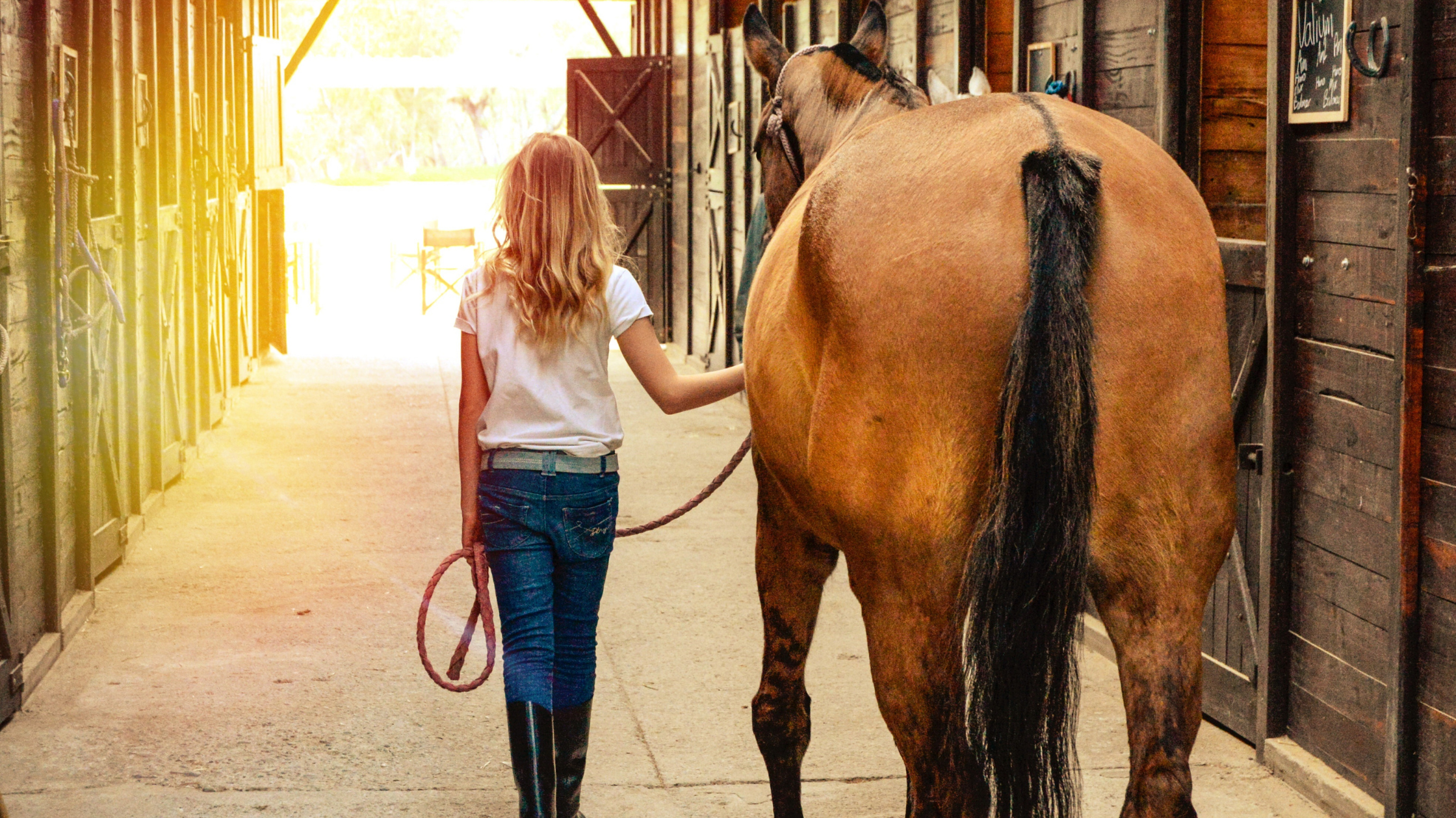 Lessons from Martin Black: A Journey in Horsemanship (by Tik Maynard)