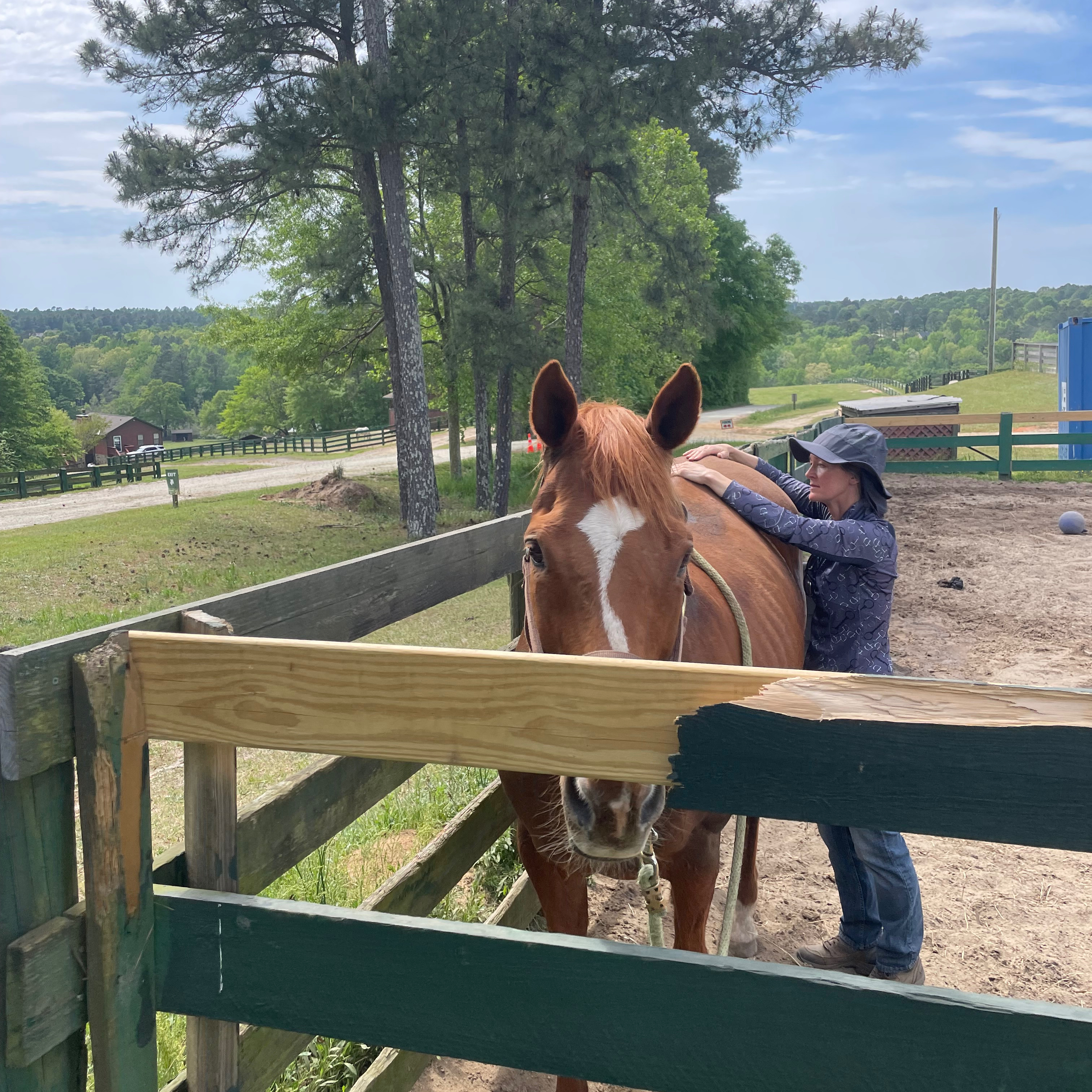 Sherri McIntyre, Horse Owner/ Equine Therapist