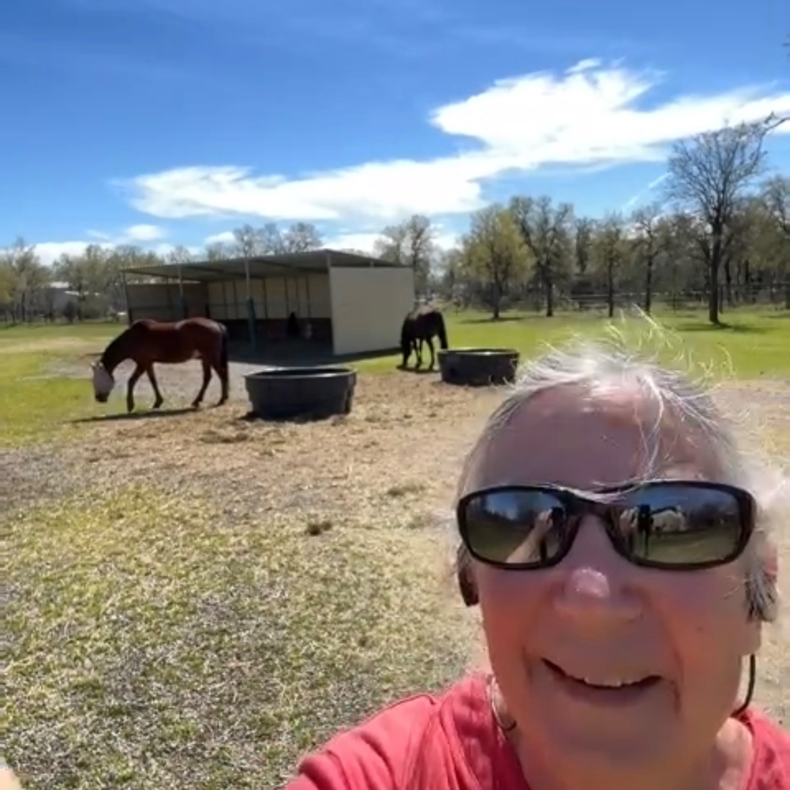 Linda Schaap, Owner of Circle L Ranch 