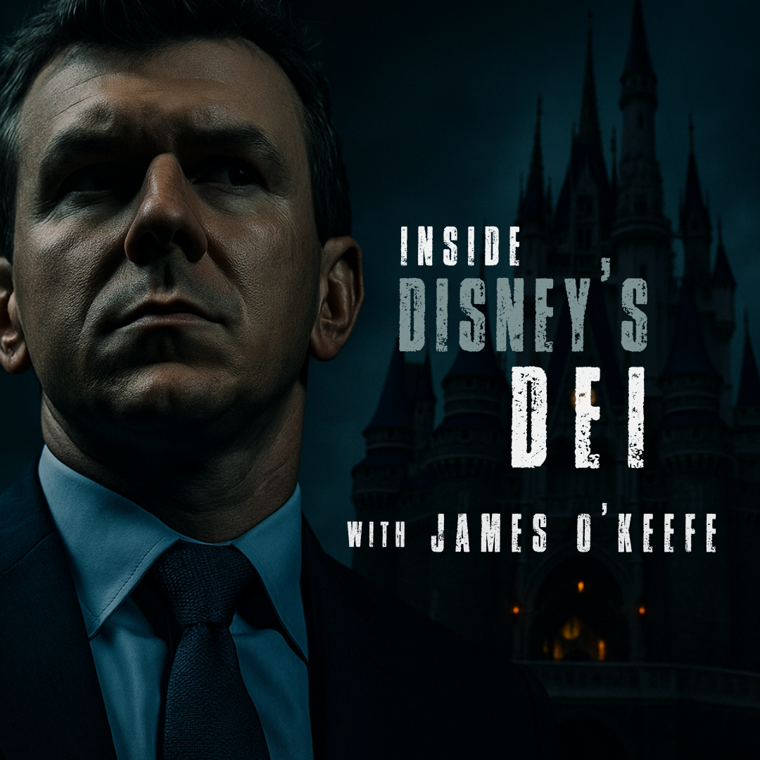 American Swiper: Inside Disney's DEI