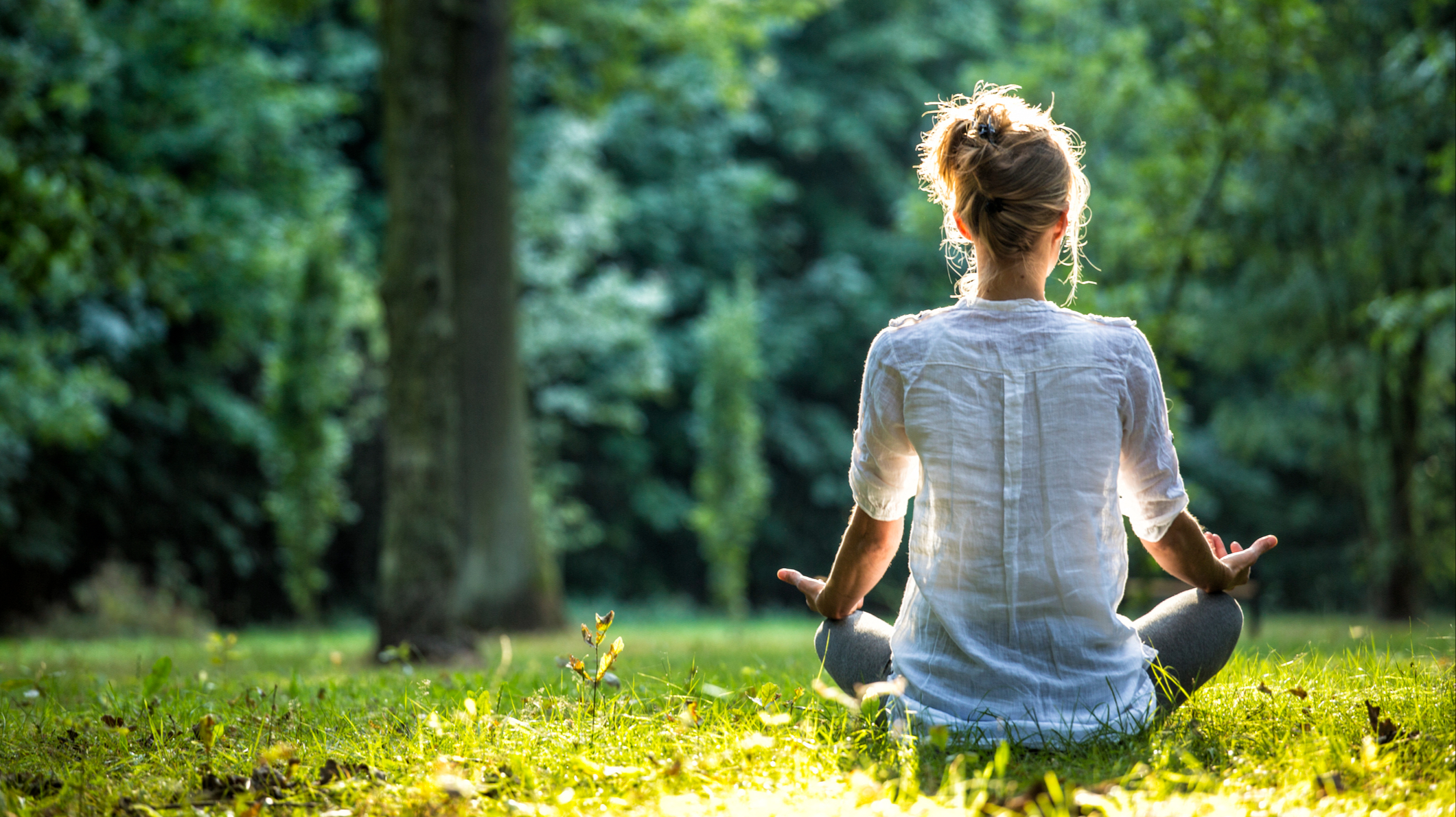 Meditation