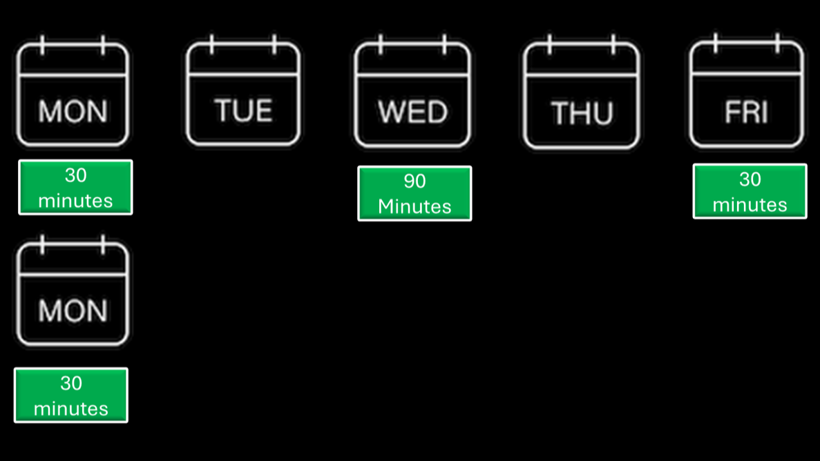 THE SCHEDULE