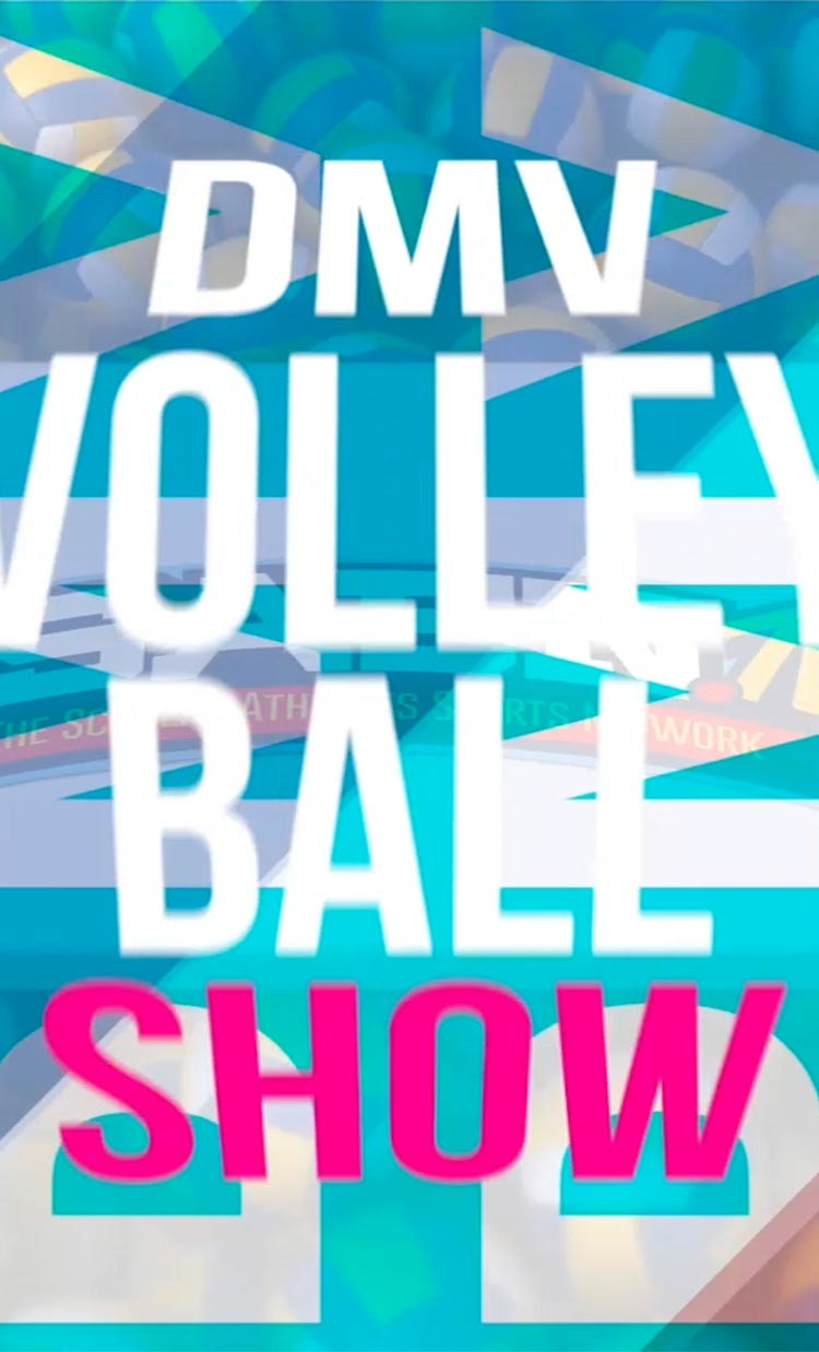 DMV VOLLEY