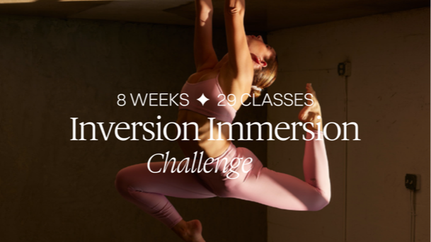 Inversion Challenge 