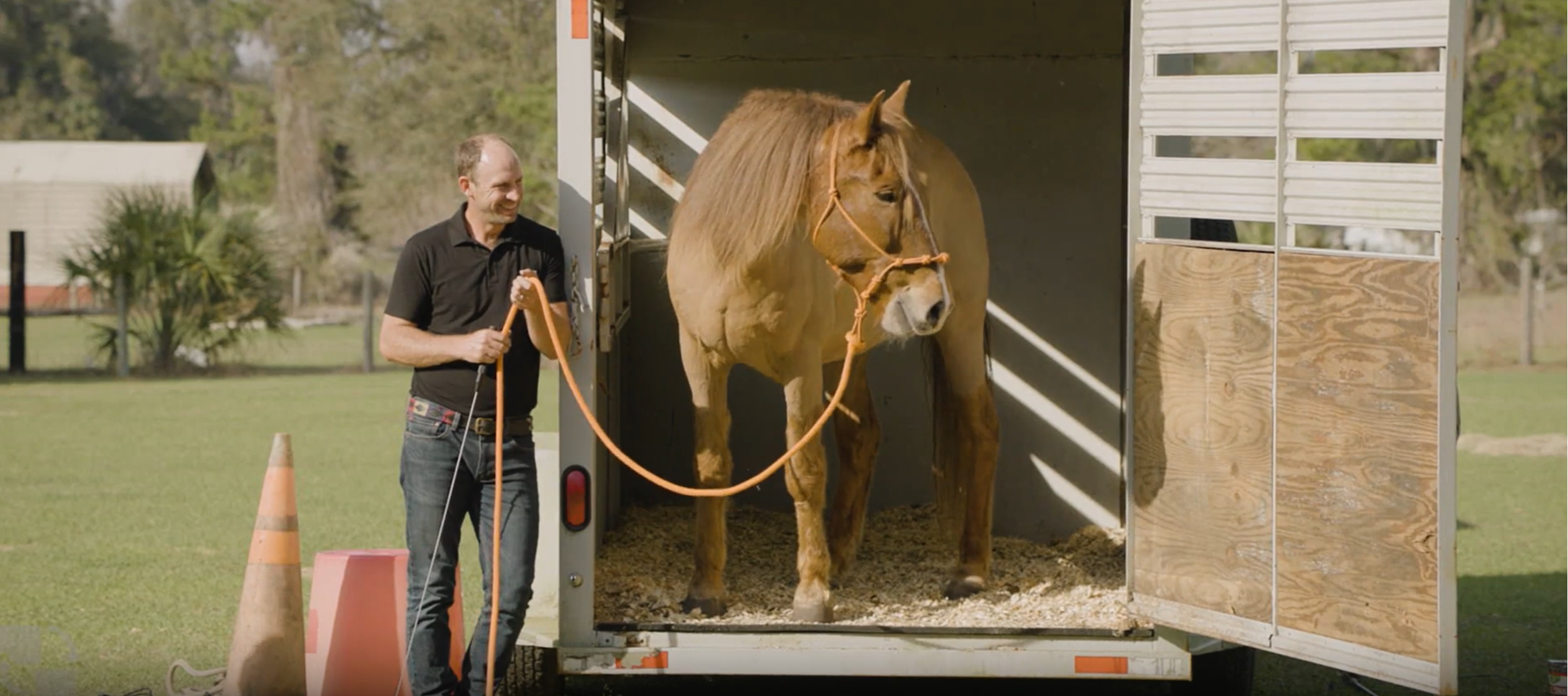 Prepare Your Horse for Calm, Confident Trailering