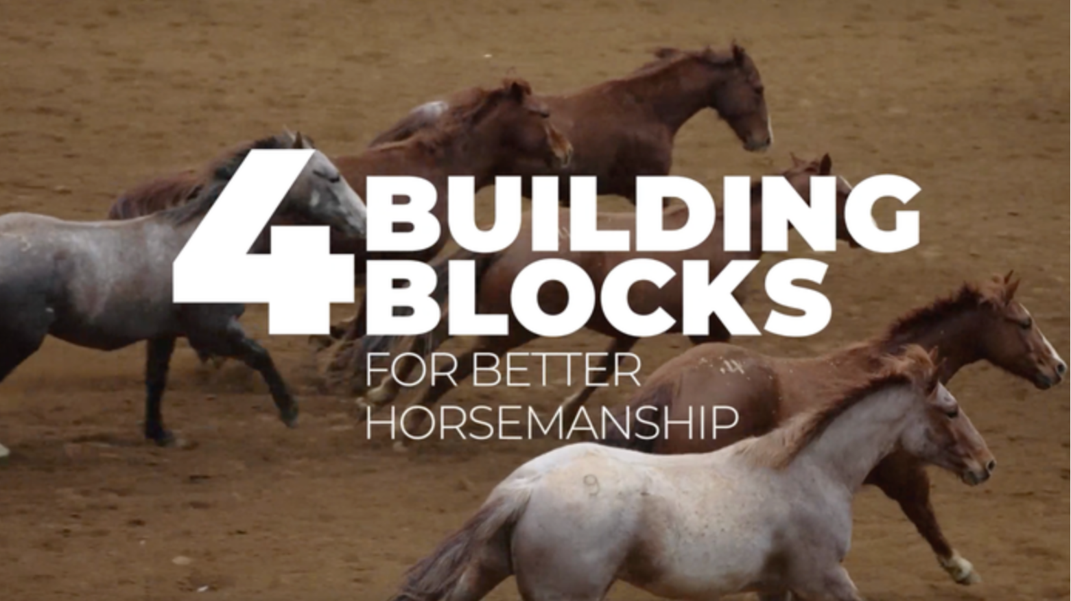 Episode 1: Observation - Tik Maynard’s Four Building Blocks to Better Horsemanship