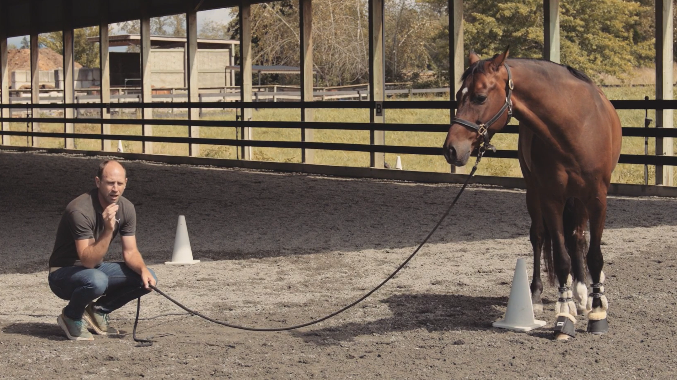 Episode 2: Communication - Tik Maynard’s Four Building Blocks to Better Horsemanship