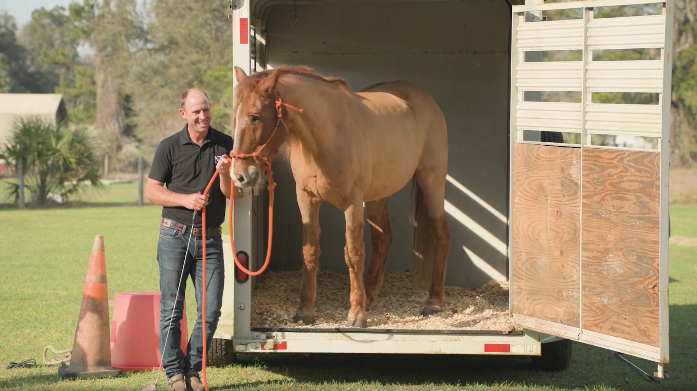 Confident Trailer Loading for Every Horse and Rider