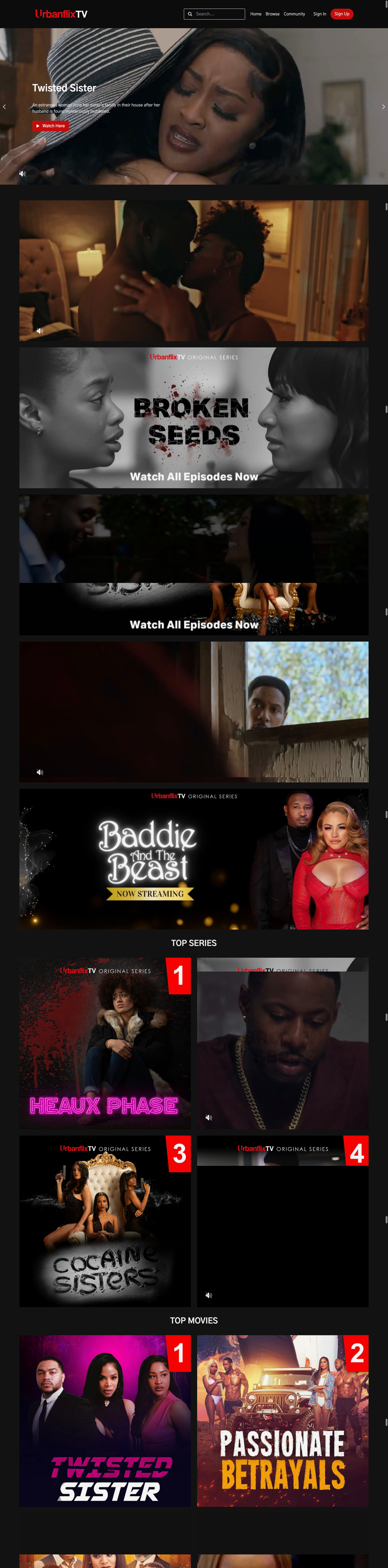 Netflix-Style Catalog with Interactive Trailers
