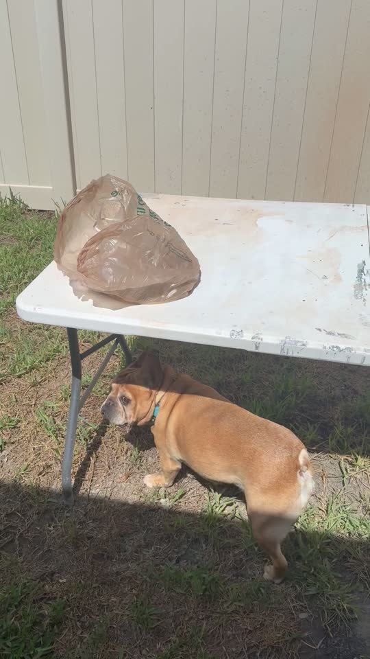 Malawi Agate Arrival
