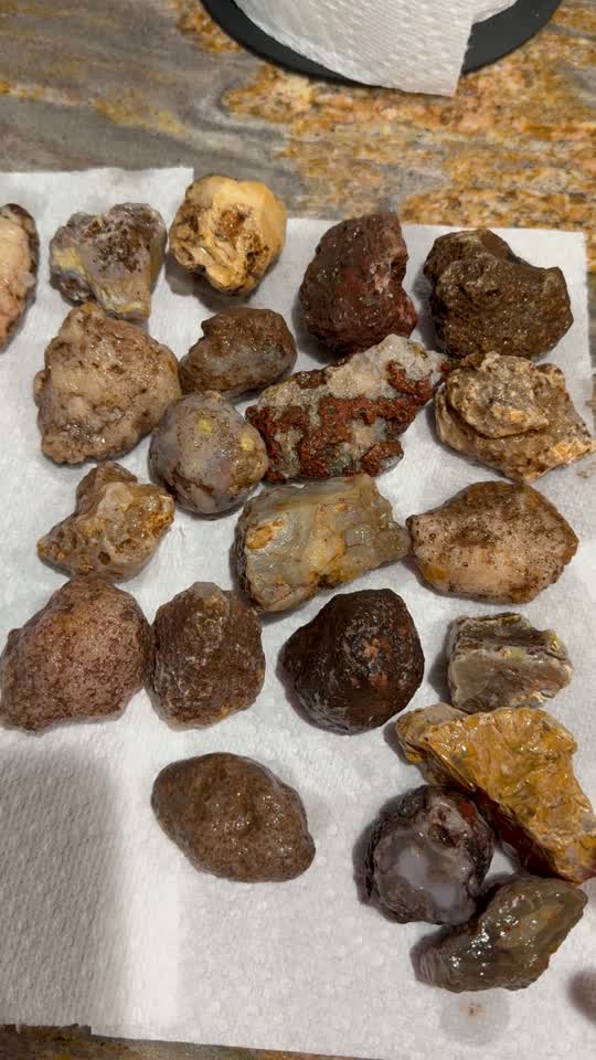 Calandria Agate Arrival