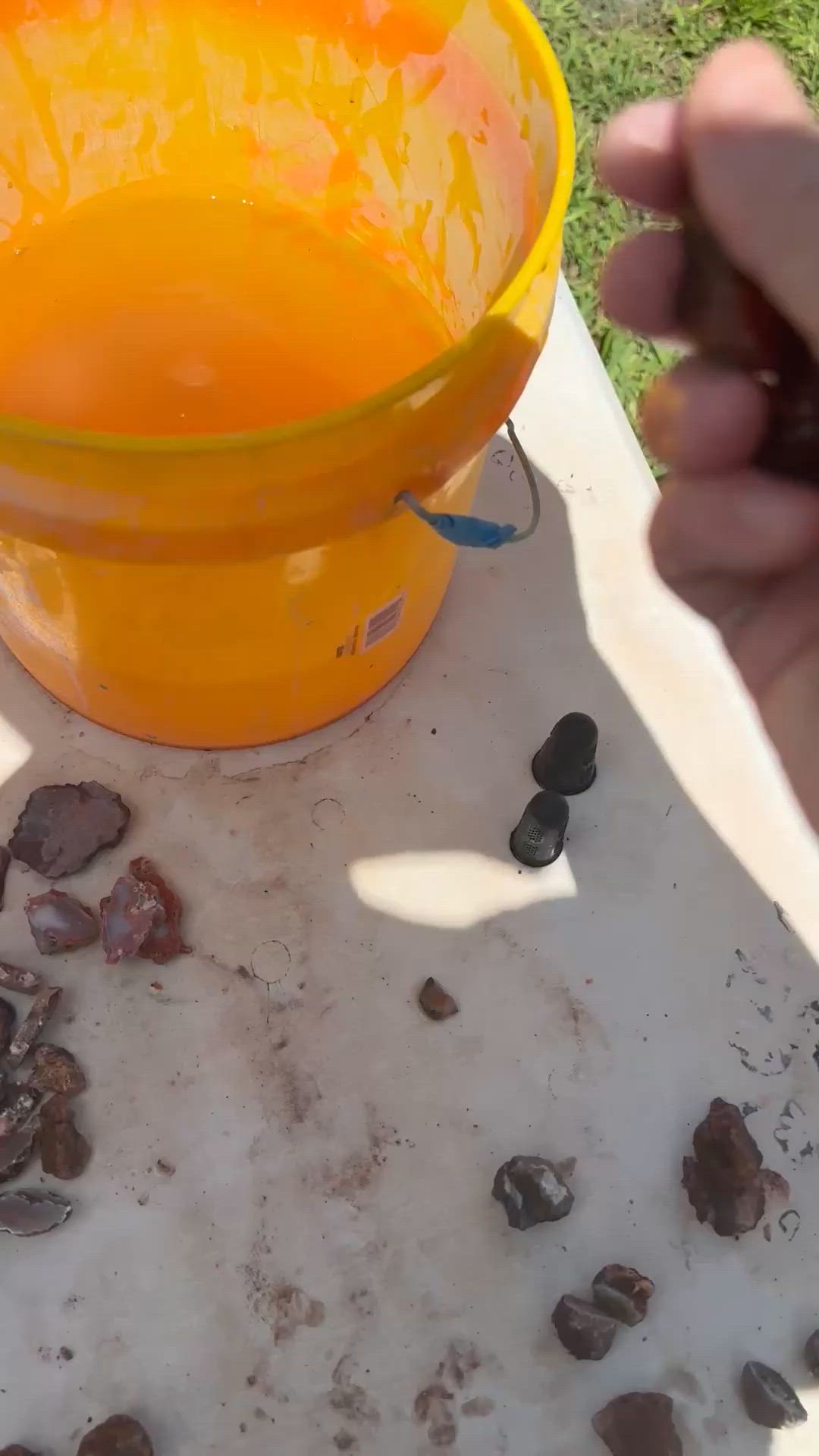 Great Malawi Reveal