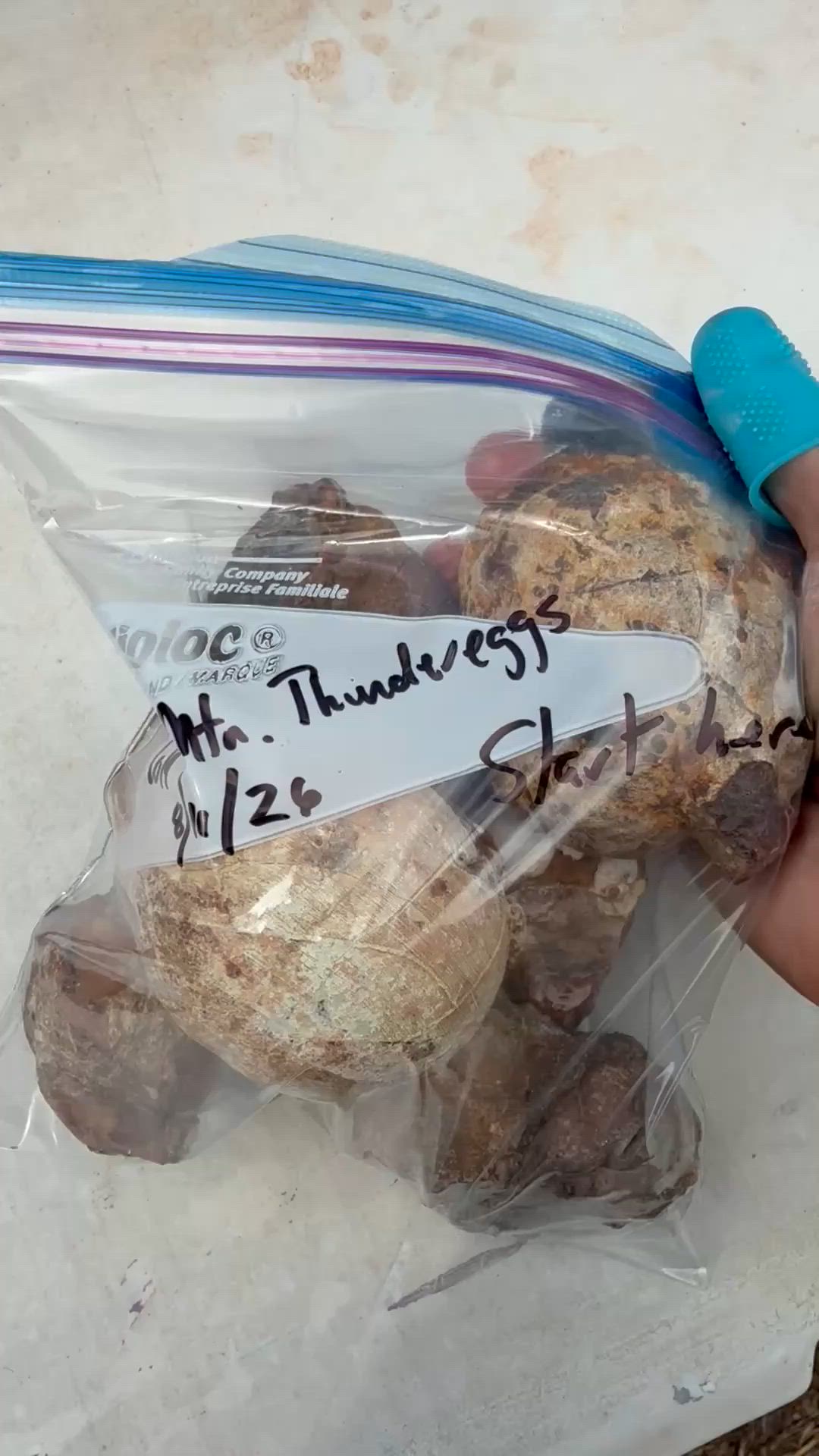 Cold Mountain Thunderegg & Swazi Agate Preview