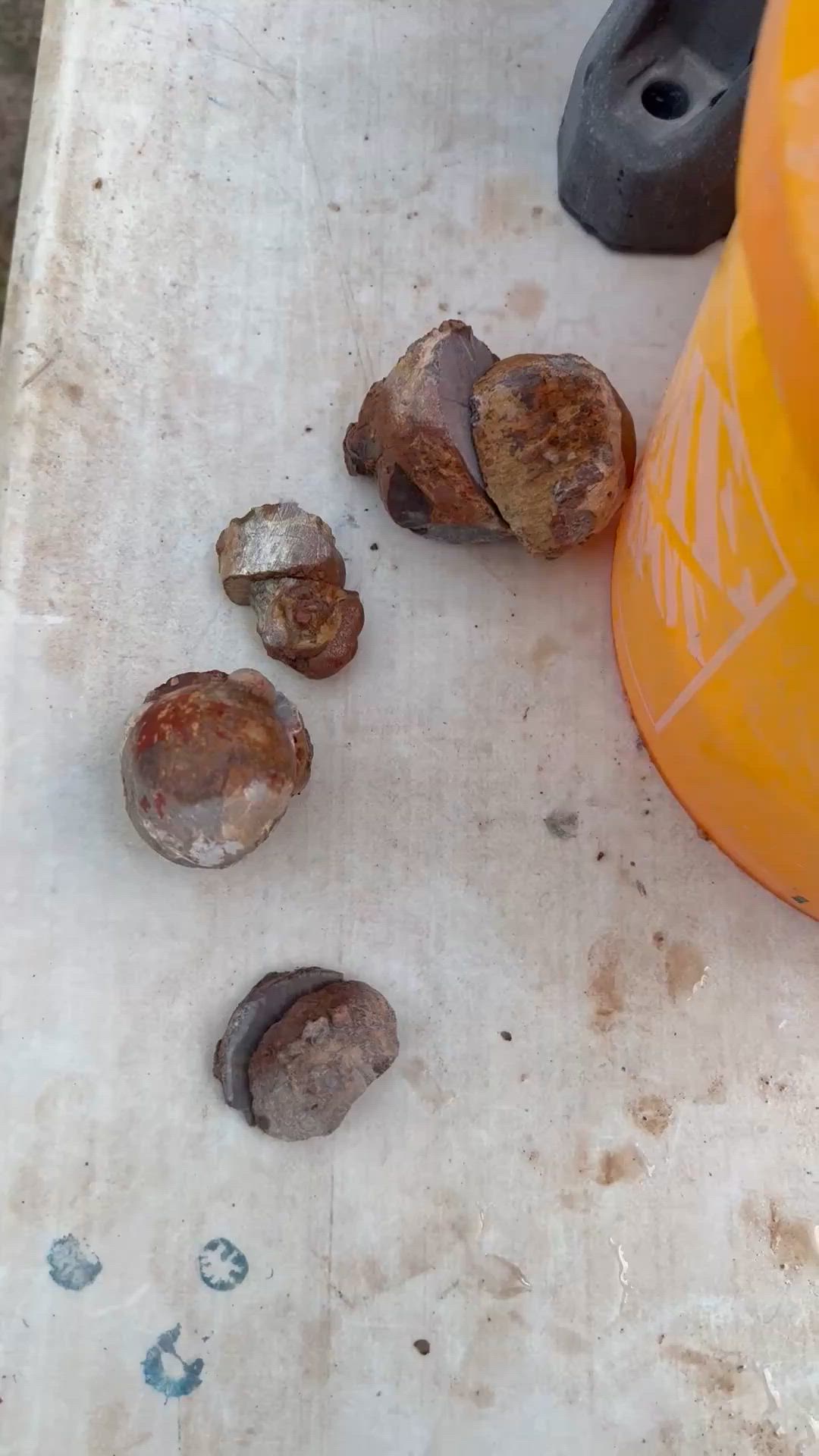 Cold Mountain Thunderegg Reveal #1