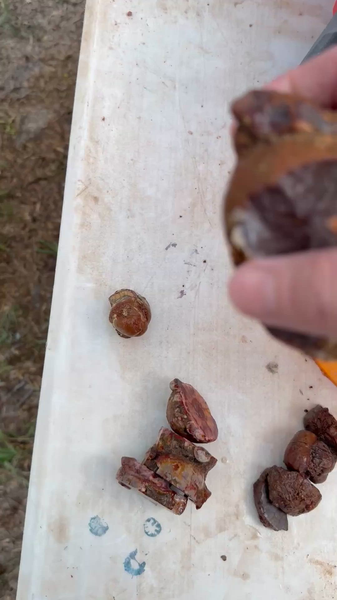 Cold Mtn Thunderegg Reveal #3