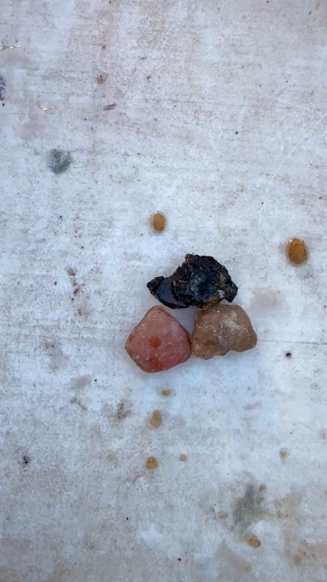 Tres Van Stone Reveal