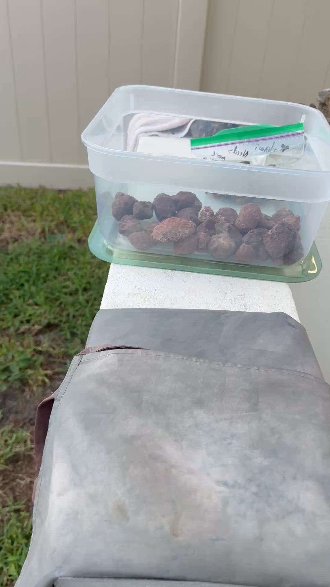 Malawi Agate Day Preview 