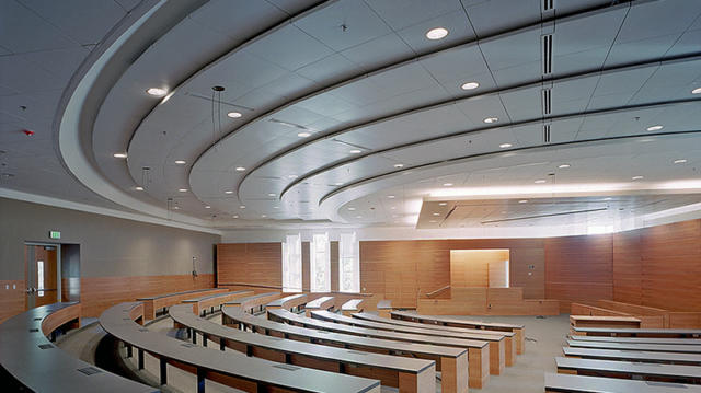Acoustical Ceiling_07 Acoustical Ceiling_07