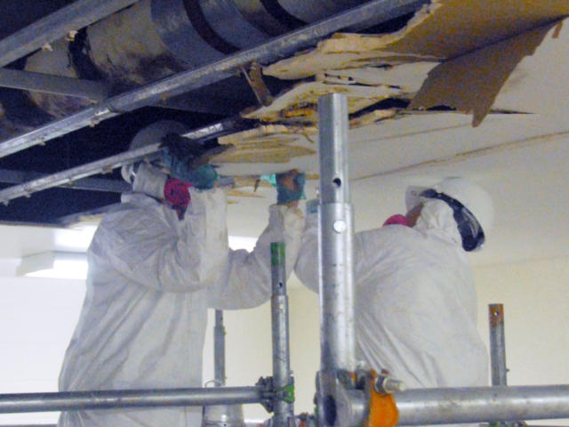 PAS Mold Remediation PAS Mold Remediation