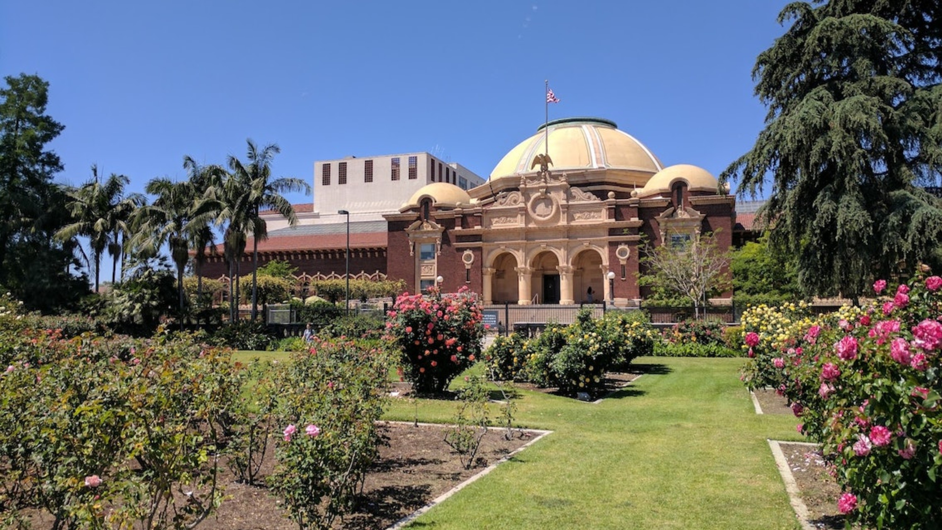 Exposition Park Rose Garden, photo 3