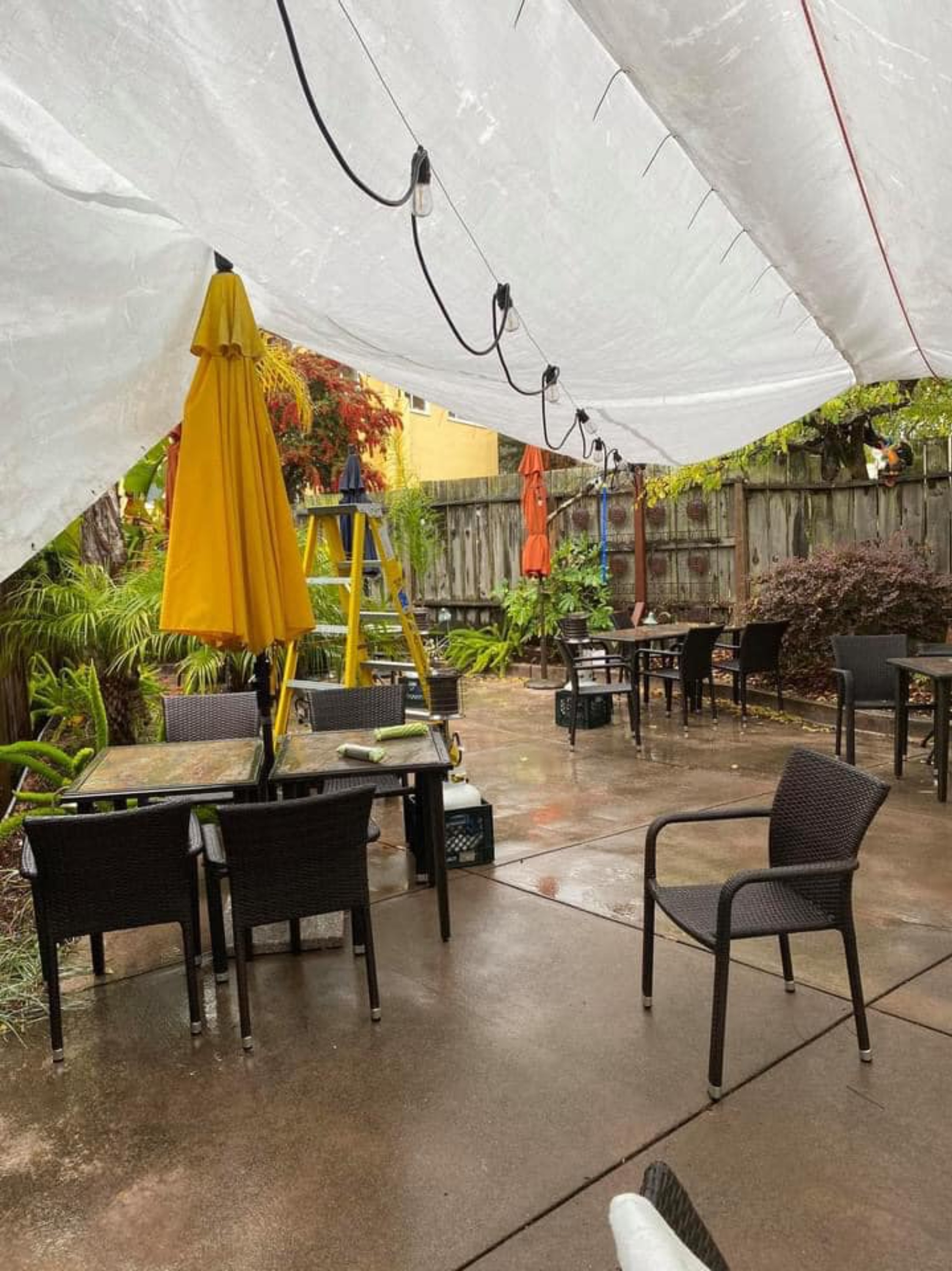 Saylor's Restaurant & Bar, photo 3