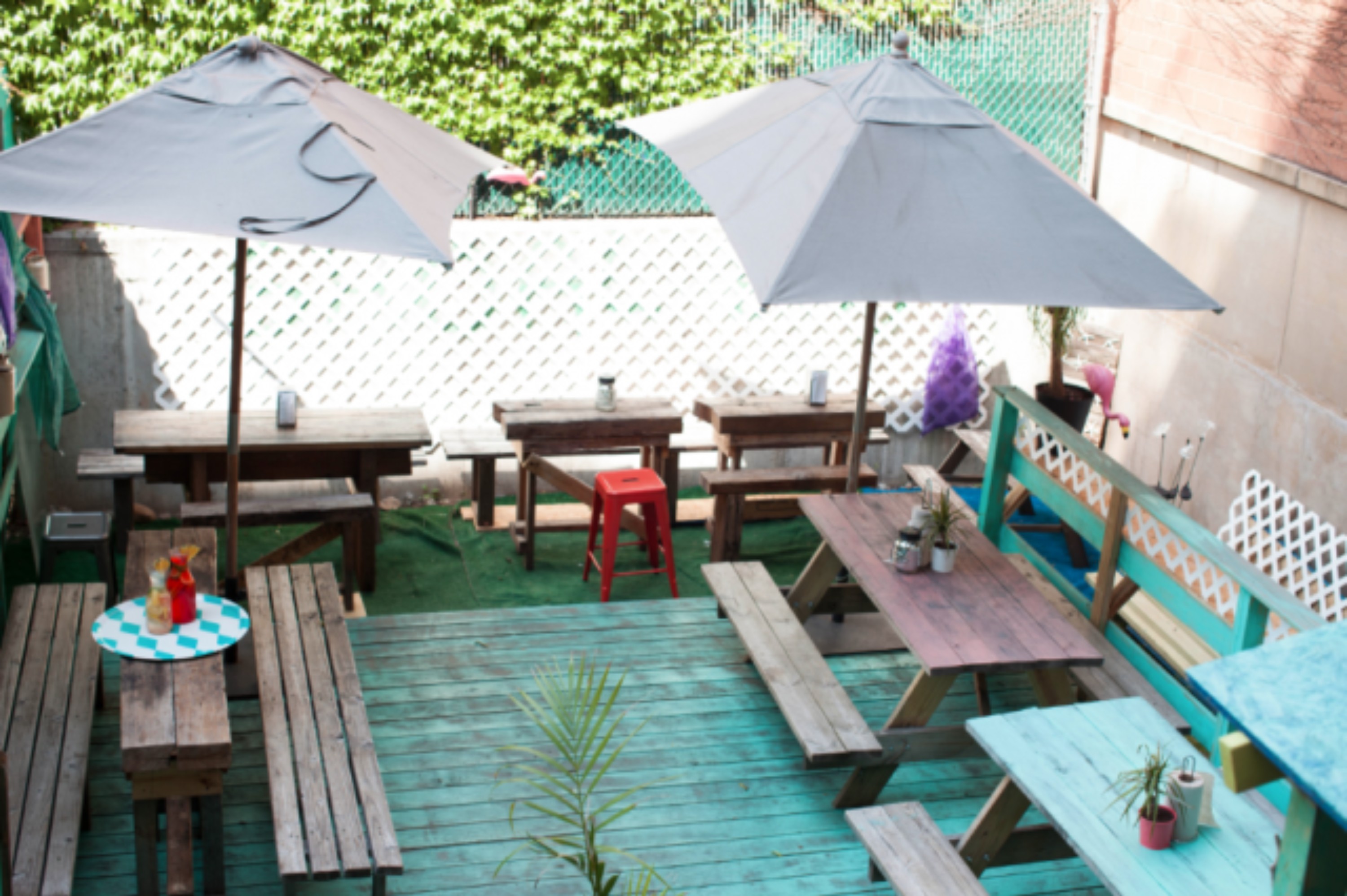 LoLo's Seafood Shack, photo 3