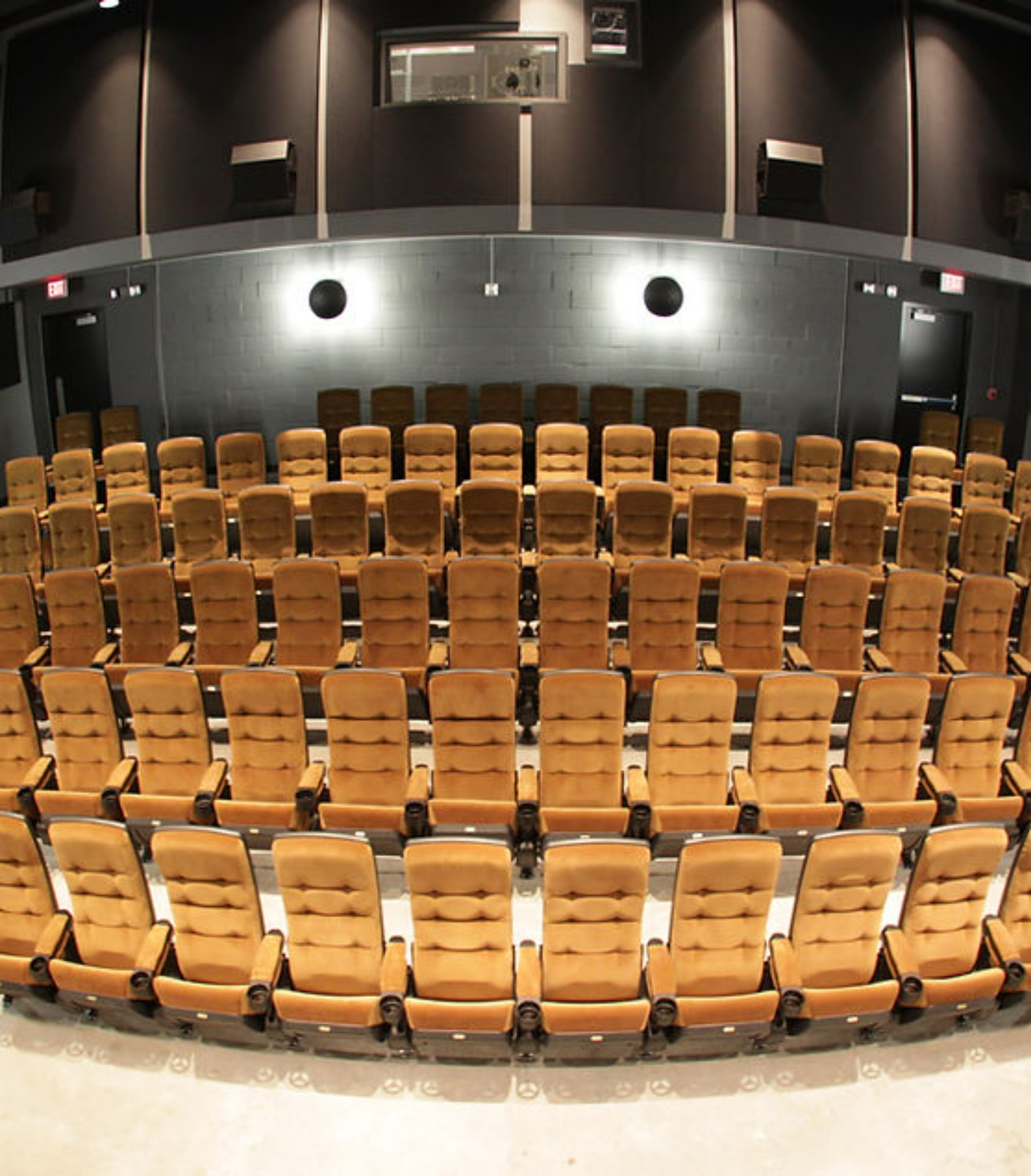 Circle Cinema, photo 4