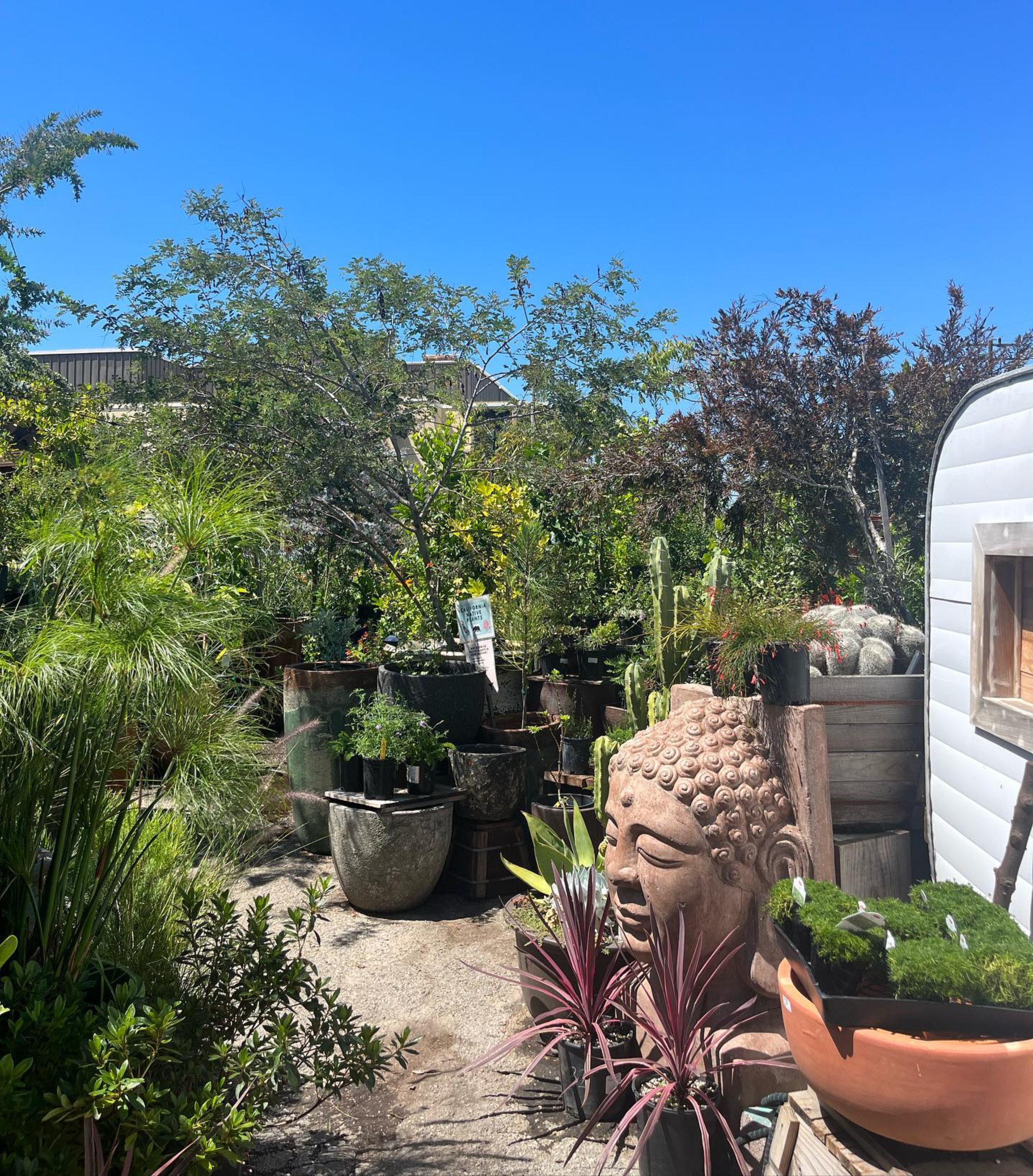 Merrihew's Sunset Gardens, photo 3