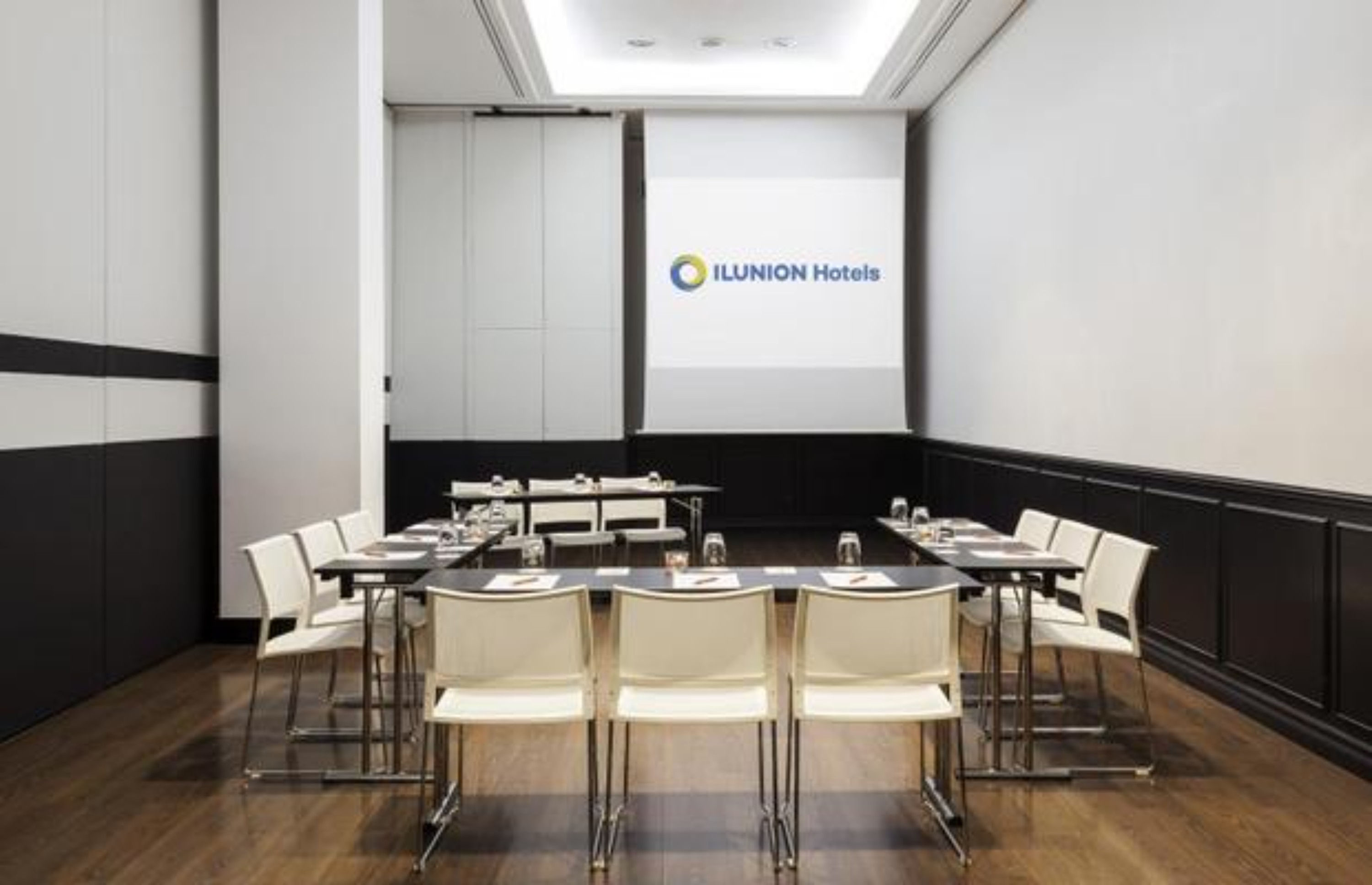Hotel Ilunion Suites Madrid, photo 4