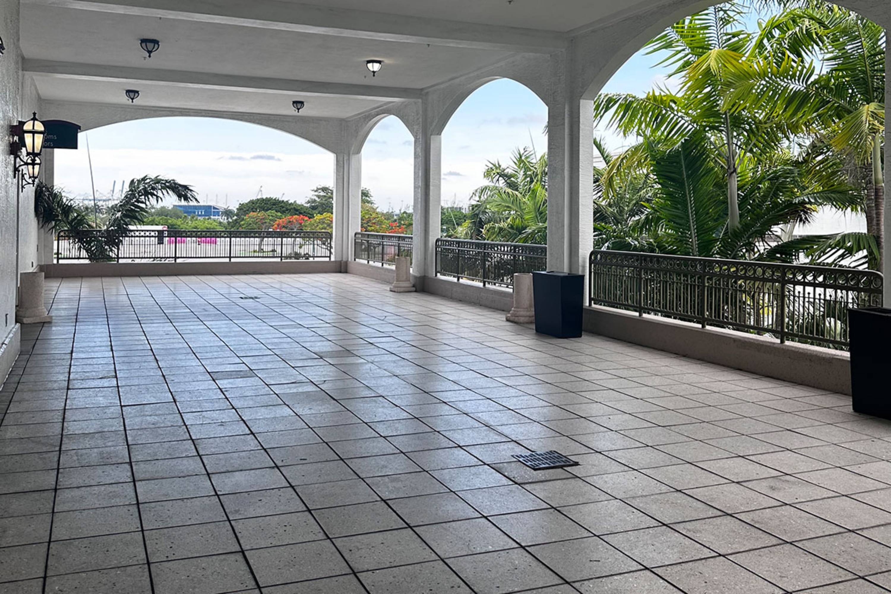 Jungle Island, photo 6