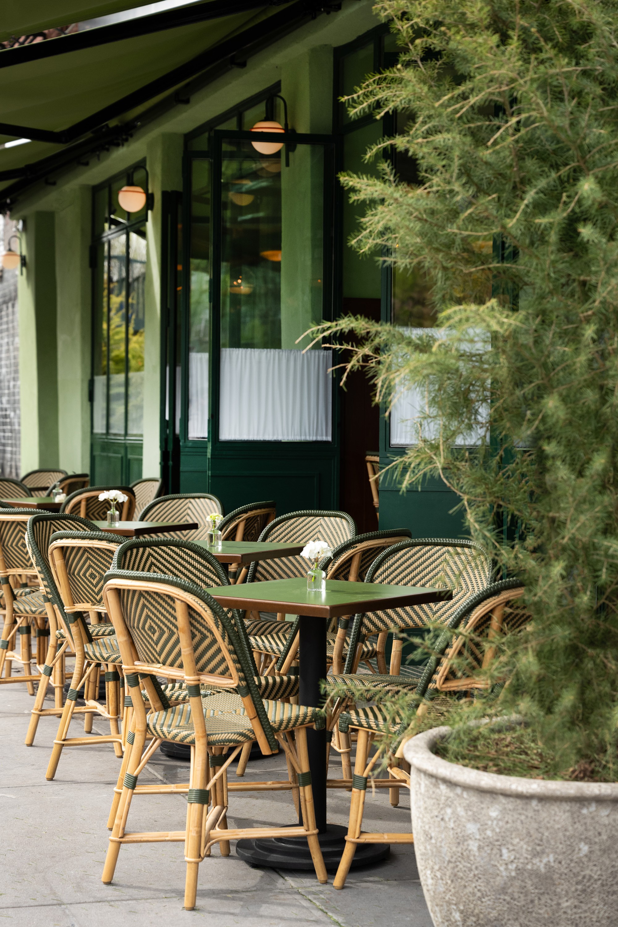 Bar Bianchi, photo 3