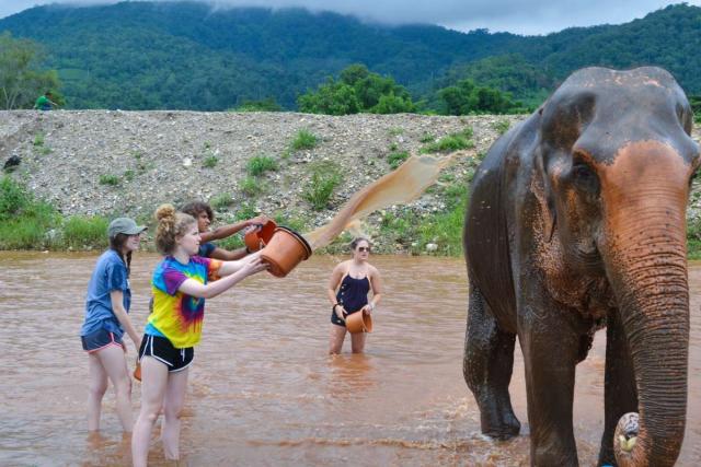 Teenage travelers wash elephants during summer youth travel program in Thailand
