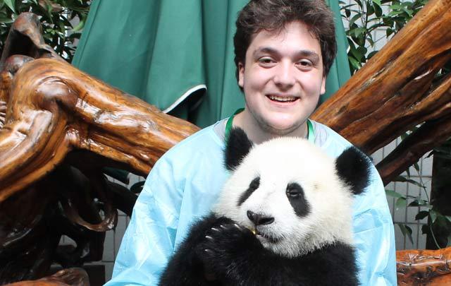 High school traveler helps at a panda rehabilitation center on their summer teen tour to China.