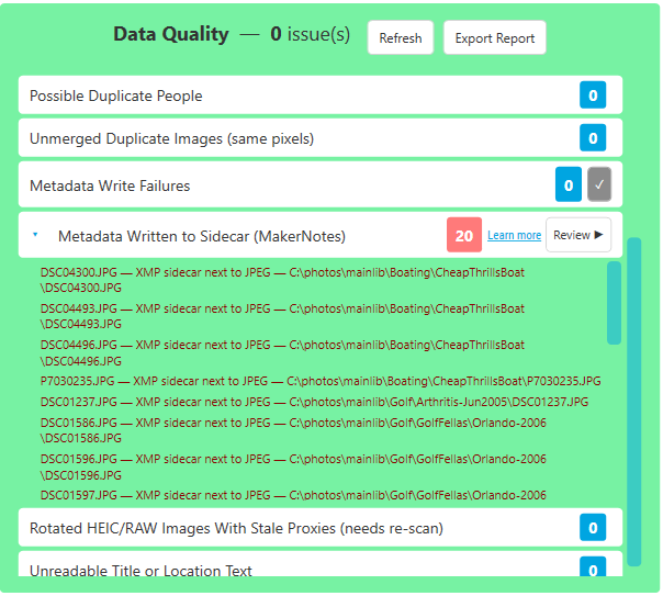 Data Quality with a section collapsed and an action in progress or finished