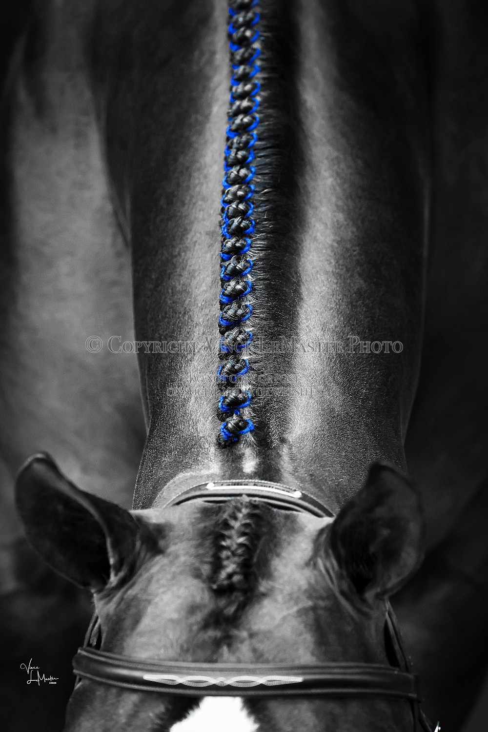 Kauffman High Res BWC 03 188 25GAL