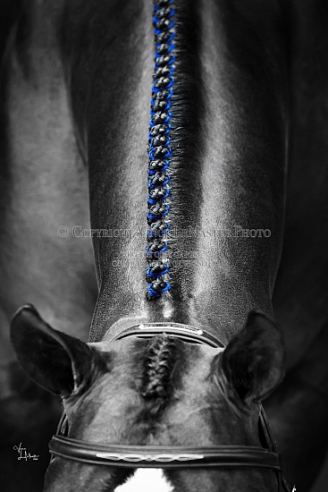 Kauffman High Res BWC 03 188 25GAL