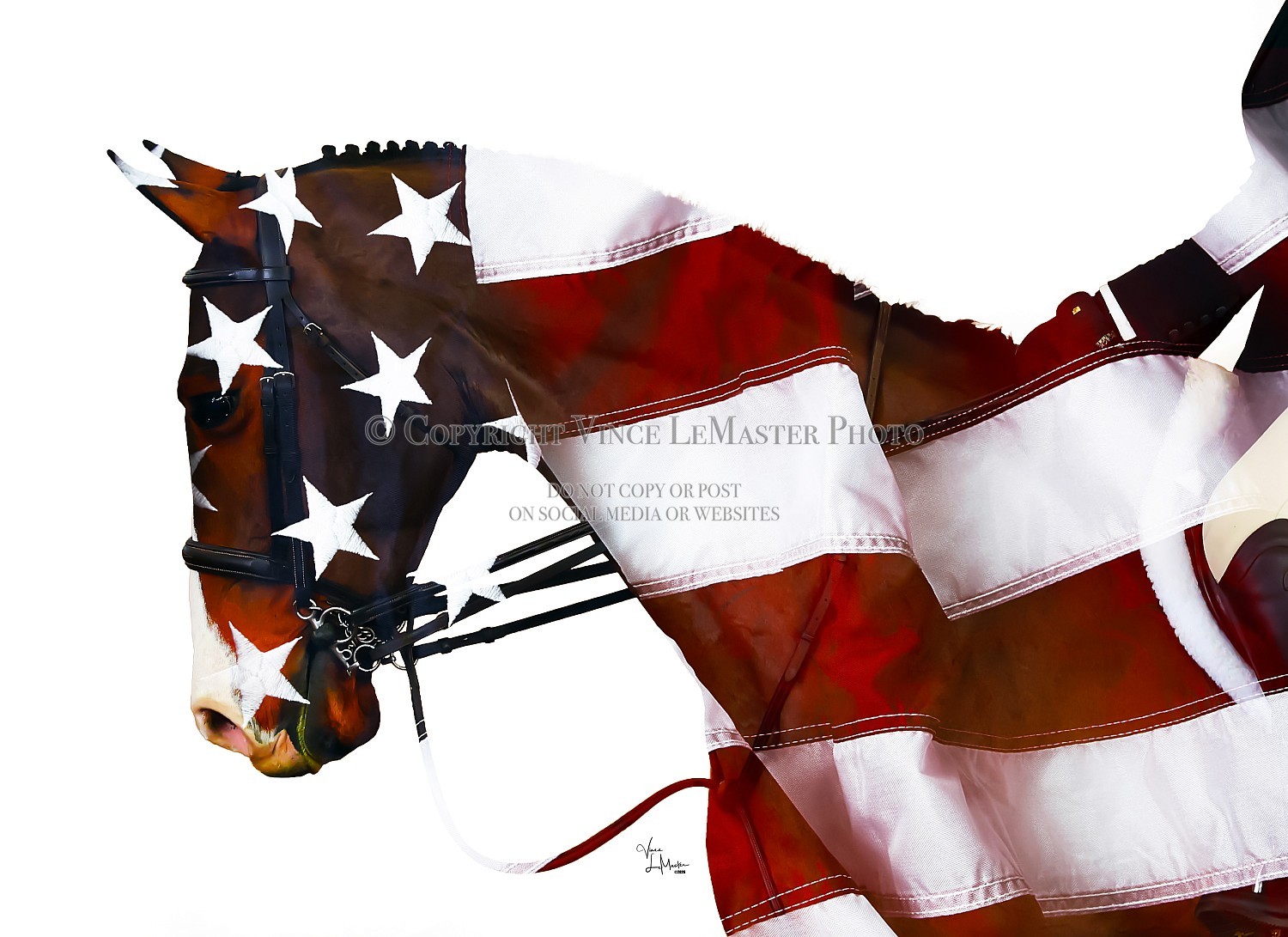 Flag Dub Exp 101 014 26CSCMW