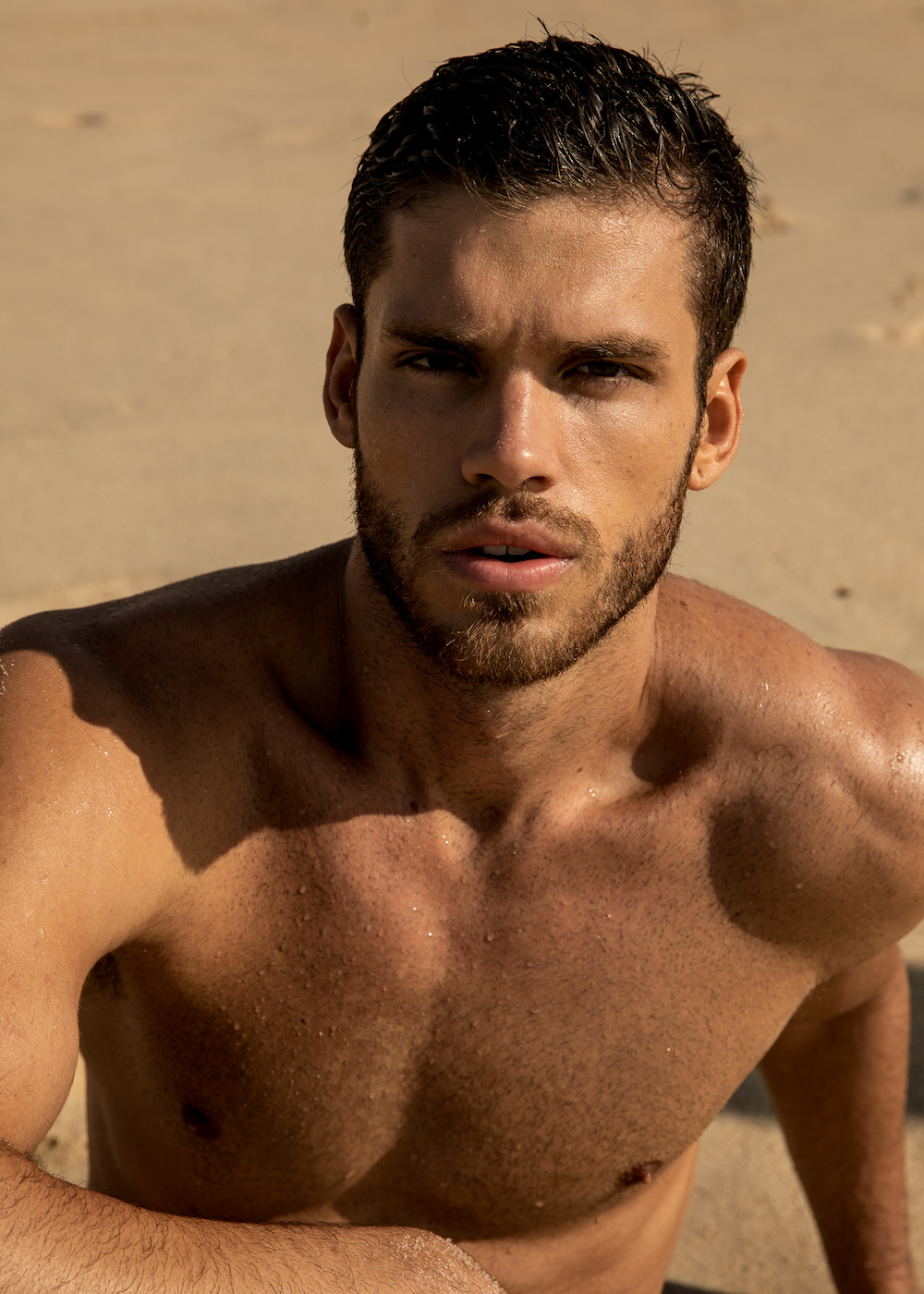 Foto de The Endless Summer por Bruno Bralfperr