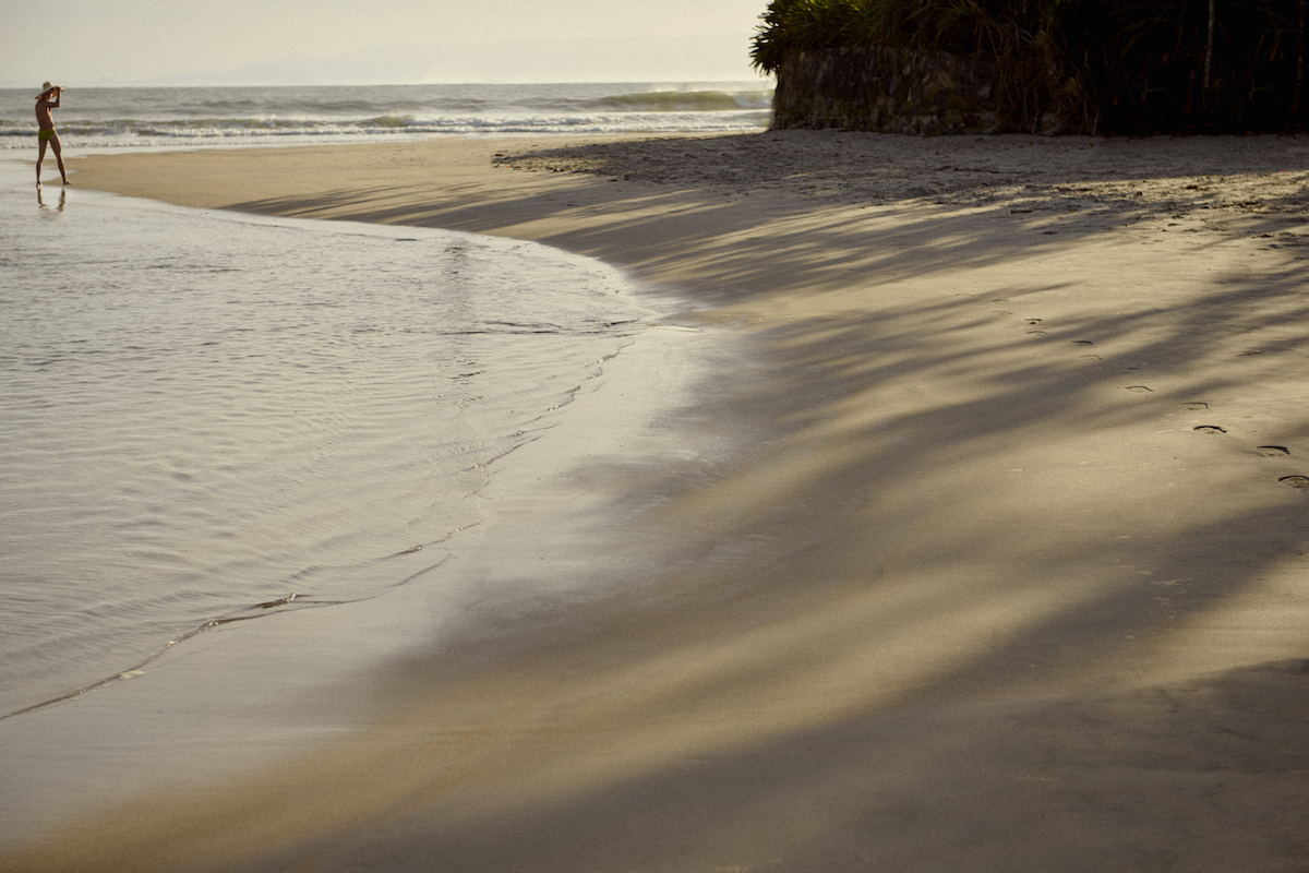 Primavera'20 por Pedro Pedreira