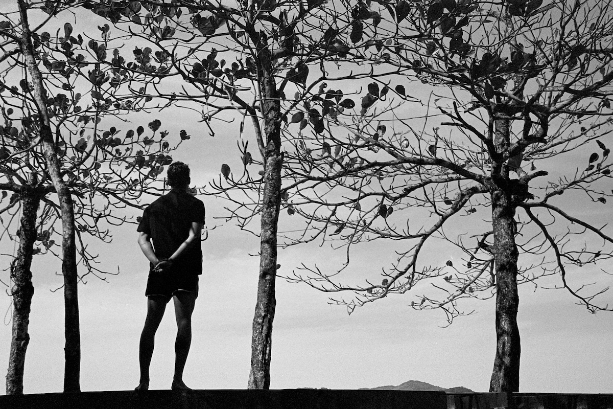 Foto de Primavera'20 por Pedro Pedreira