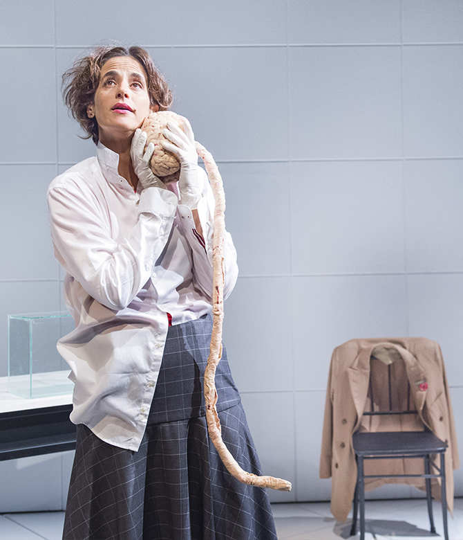 Quando um neutrino se choca com Hilda Hilst