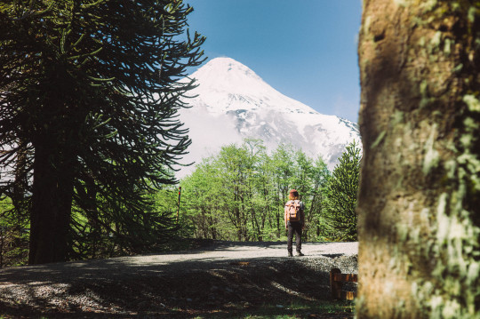 Foto do post EXPEDIÇÃO SAÍDAS E BANDEIRAS - PT 03