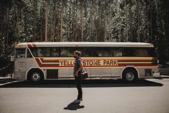 Foto do post YELLOWSTONE POR DANI CORREA