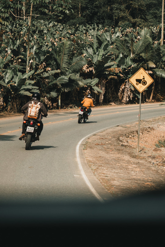 Foto do post Velho oeste catarinense