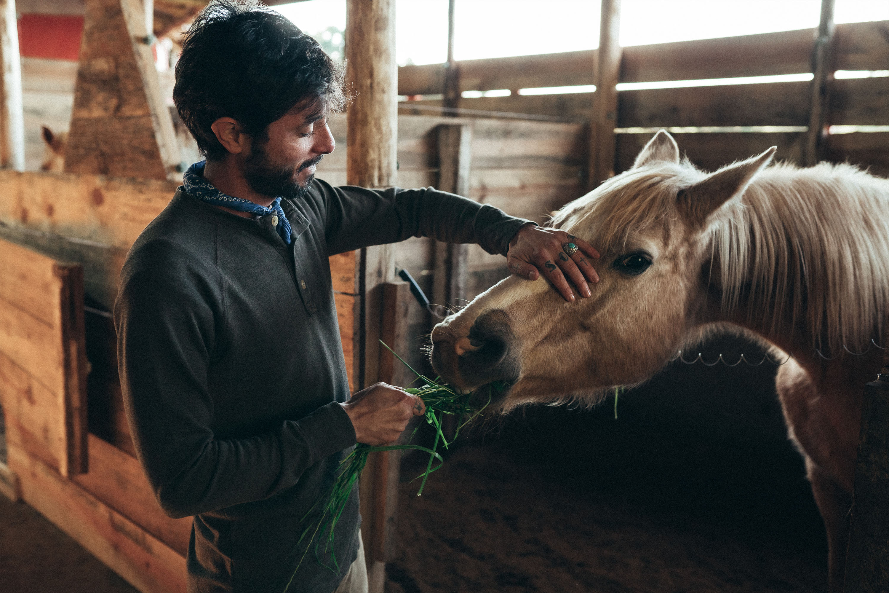 Foto do post No rancho fundo