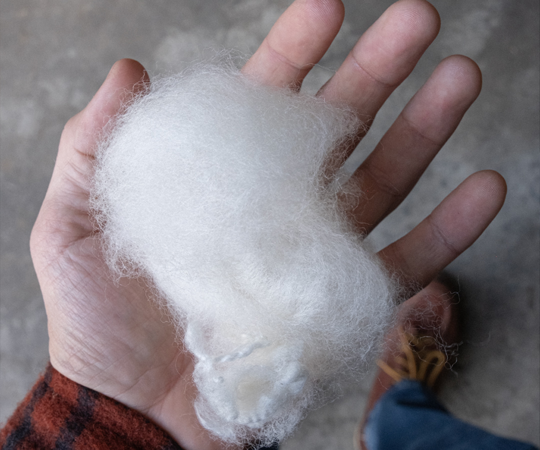 Foto do post Da Ovelha ao Tecido: A Jornada Milenar da Lã