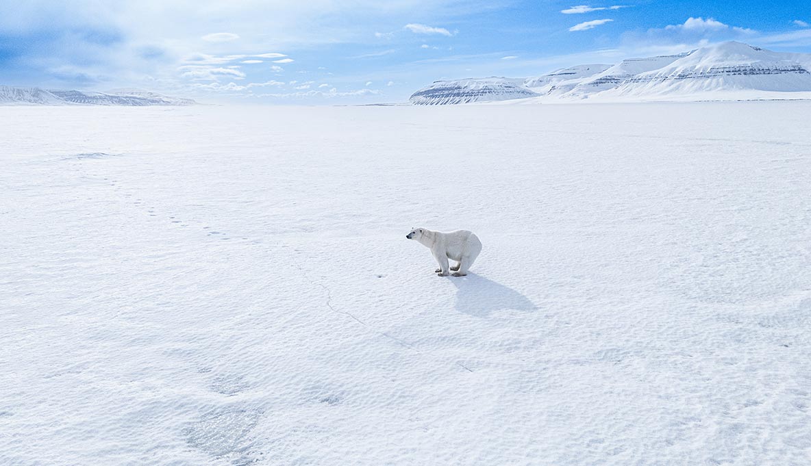 Expedição SVALBARD 2026 - Cutterman + Livsta