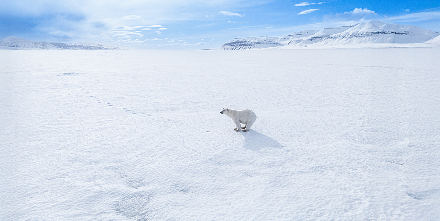 Expedição SVALBARD 2026 - Cutterman + Livsta